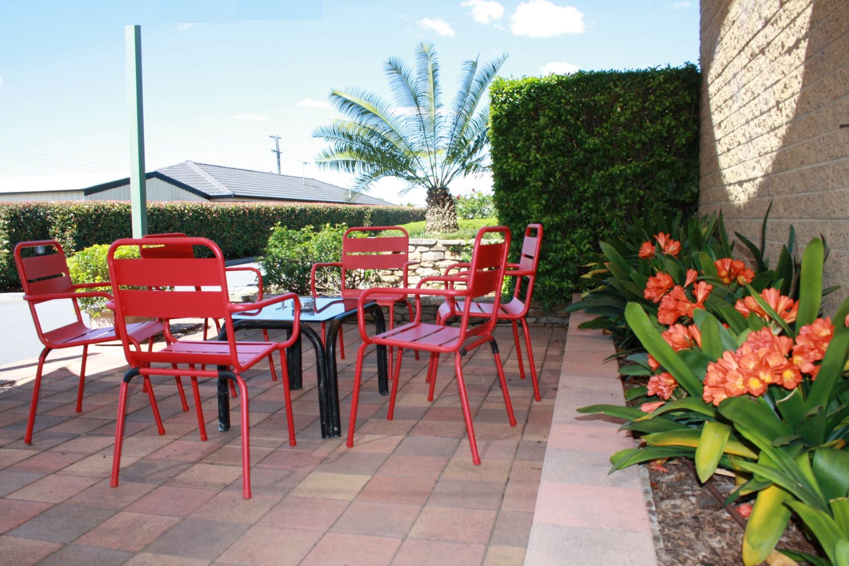 The sunny garden courtyard at Hunter Valley Travellers Rest Motel