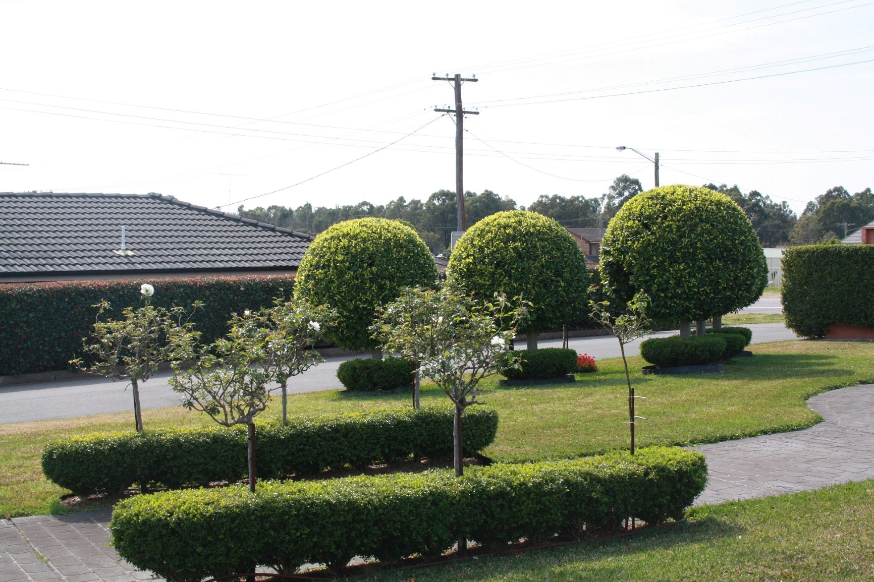 The leafy garden at the motel